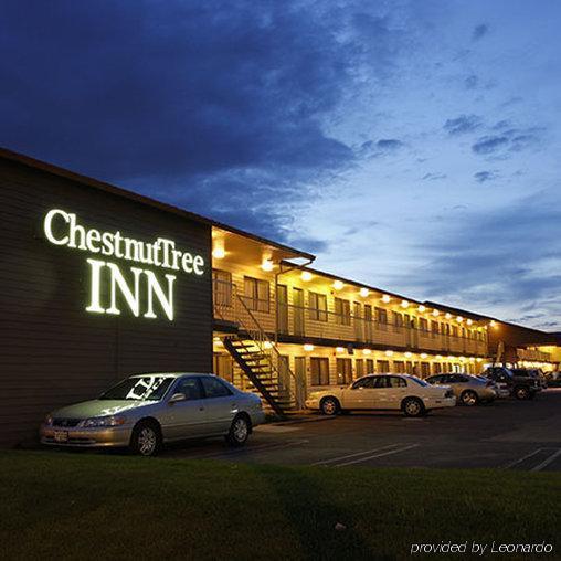 Chestnut Tree Inn Portland Mall 205 Dış mekan fotoğraf